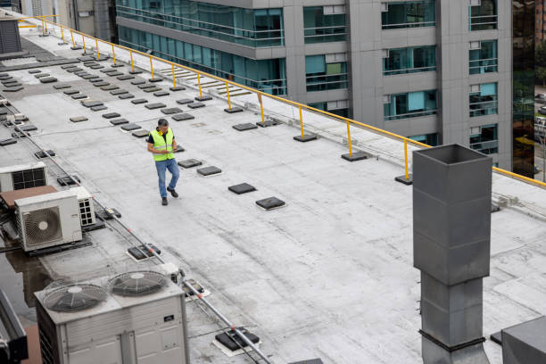 Best Roof Coating and Sealing  in Toledo, OH