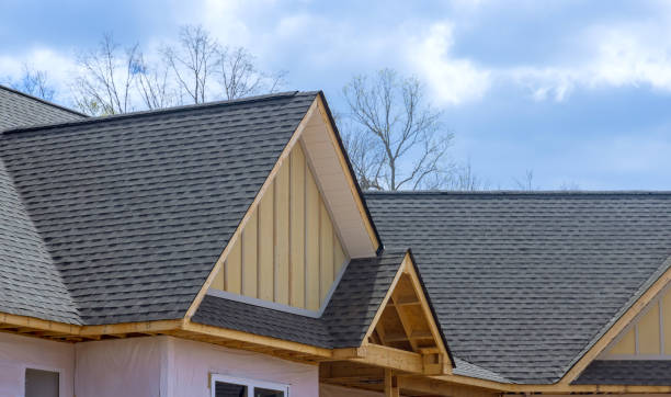 Professional Roofing in Toledo, OH